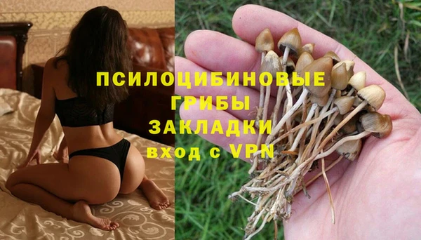 кокс Баксан