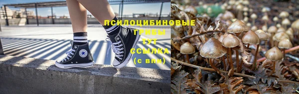 эйфоретик Балахна